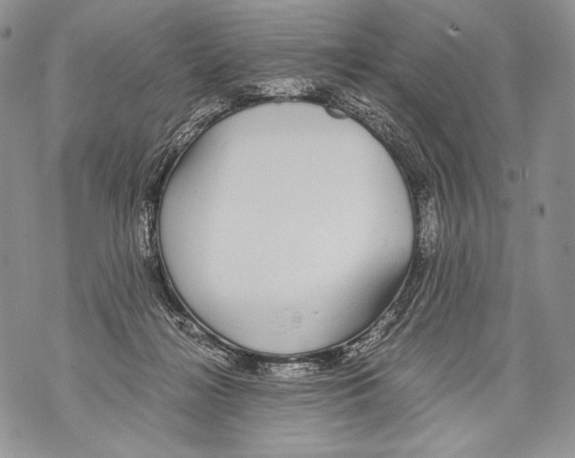 X0000071840268200607290115