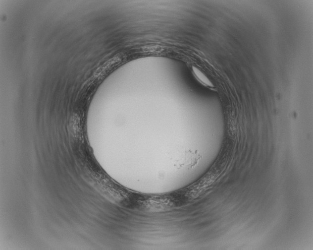 X0000071840270200607290115