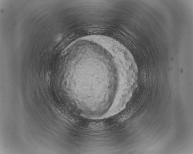 X0000071840271200607290115