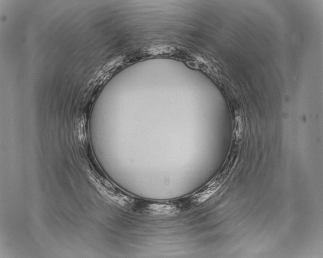 X0000071840272200607290115