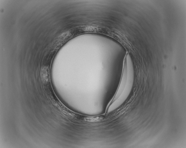 X0000071840273200607290115