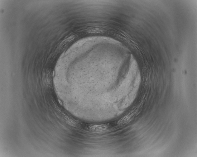 X0000071840277200607290115