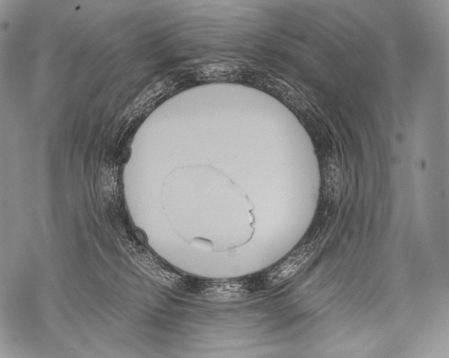 X0000071840278200607290115