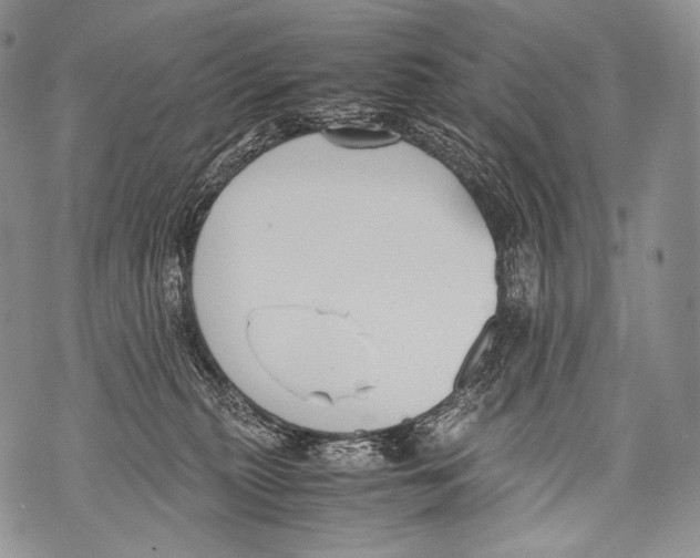 X0000071840279200607290115