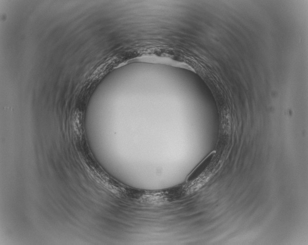 X0000071840280200607290115