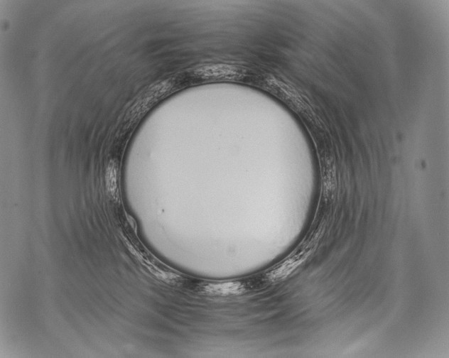 X0000071840281200607290115