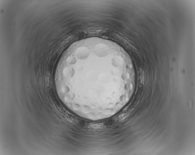 X0000071840283200607290115