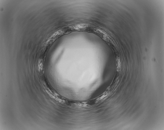 X0000071840284200607290115