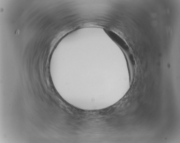 X0000071840289200607290114