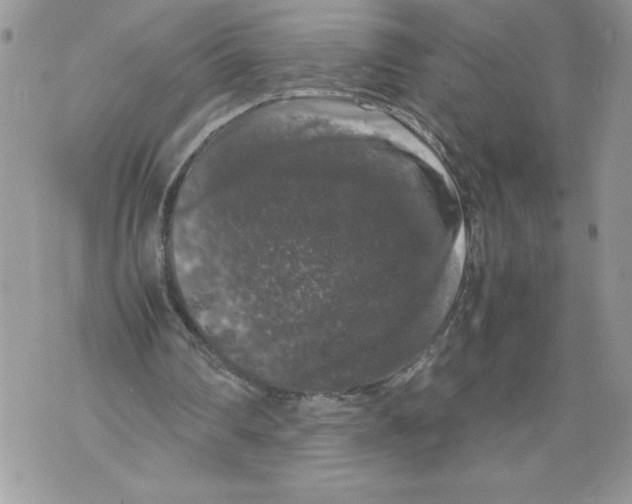 X0000071840290200607290114