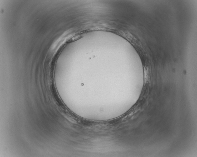 X0000071840291200607290114