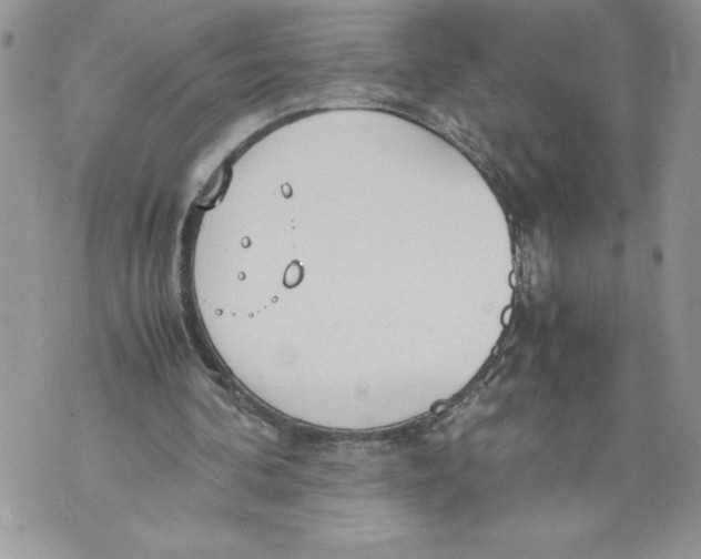 X0000071840292200607290114