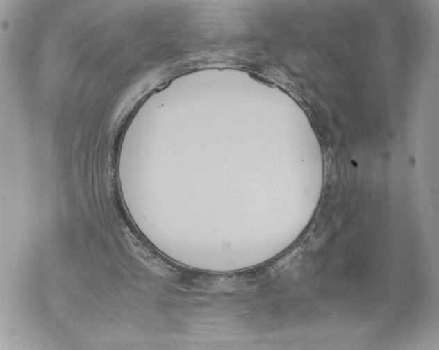 X0000071840293200607290114