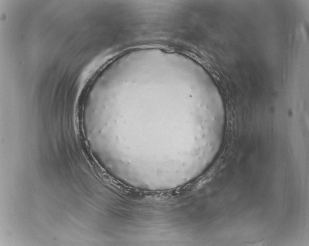 X0000071840294200607290114