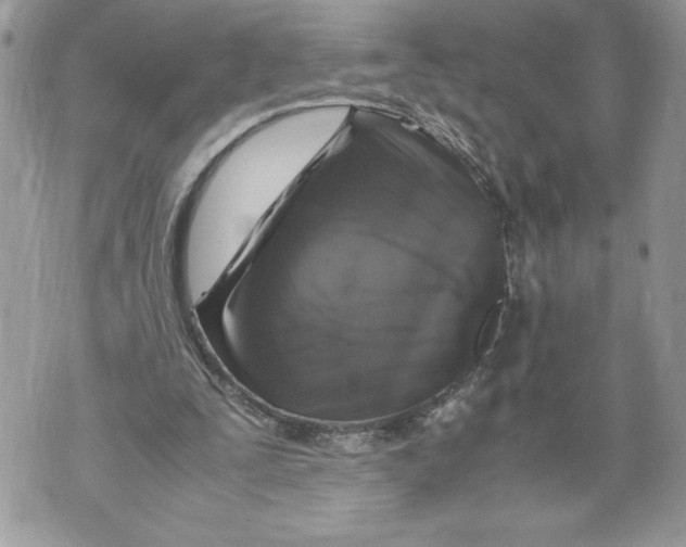 X0000071840295200607290114