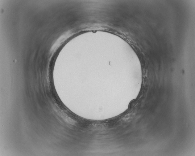 X0000071840296200607290114