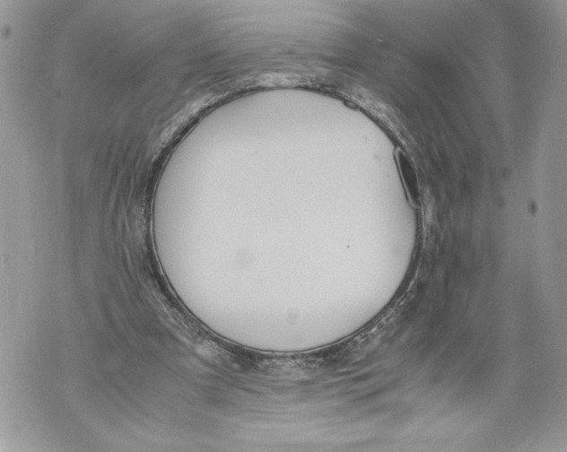 X0000071840297200607290114