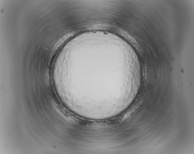 X0000071840298200607290114