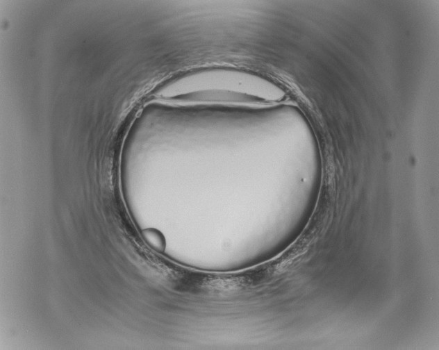 X0000071840299200607290114