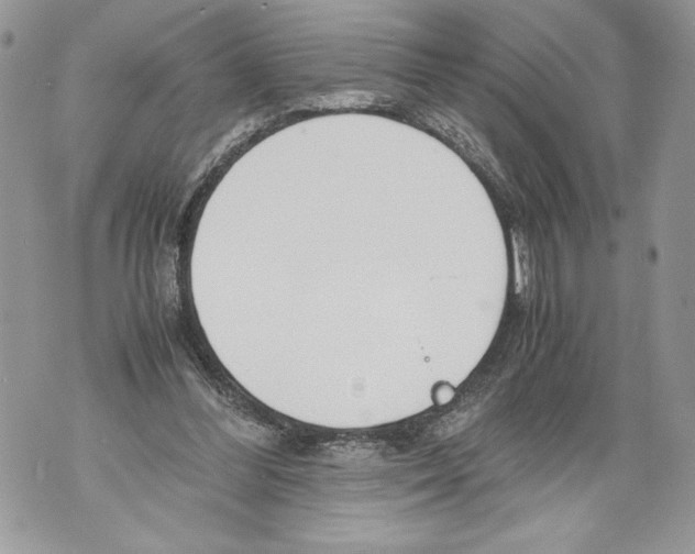 X0000071840300200607290114