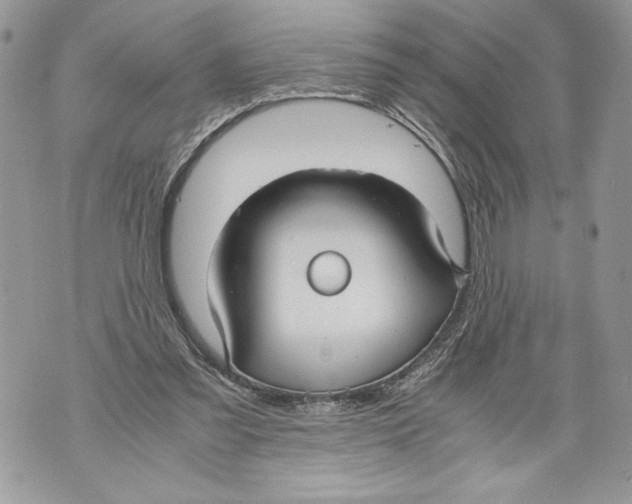 X0000071840301200607290114