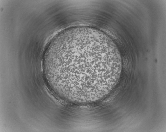 X0000071840302200607290114