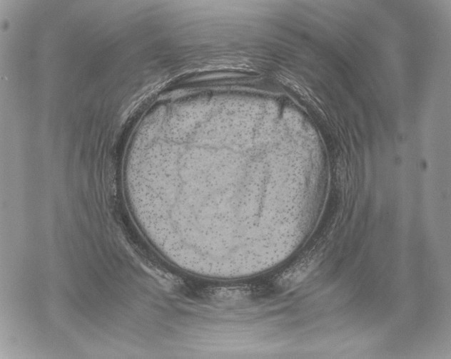 X0000071840303200607290114