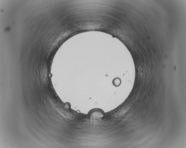 X0000071840304200607290114