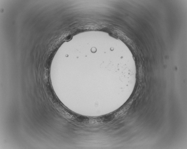 X0000071840305200607290114