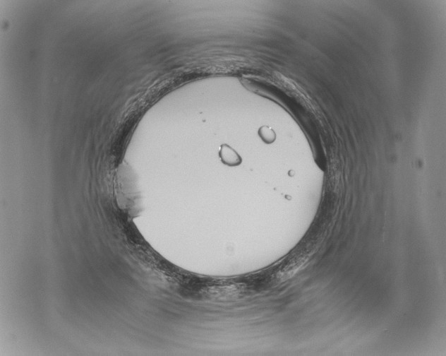 X0000071840307200607290114