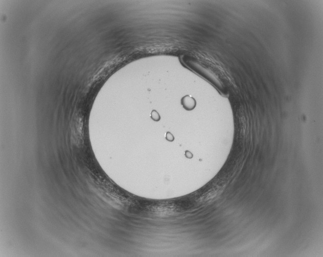 X0000071840308200607290114