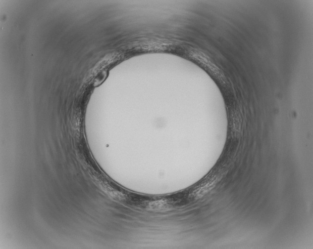 X0000071840309200607290114