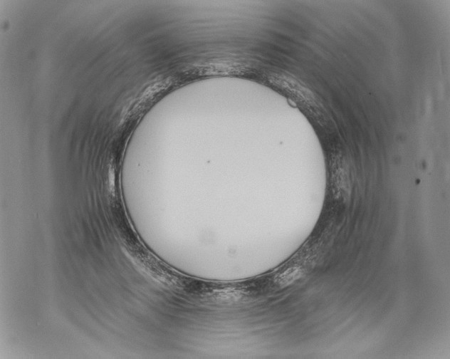 X0000071840310200607290114