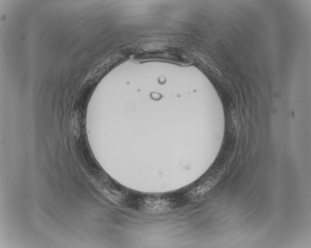 X0000071840311200607290114