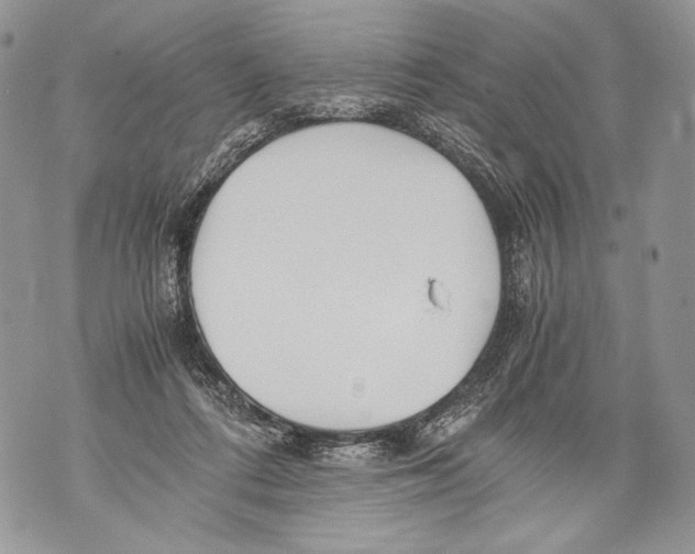 X0000071840312200607290114