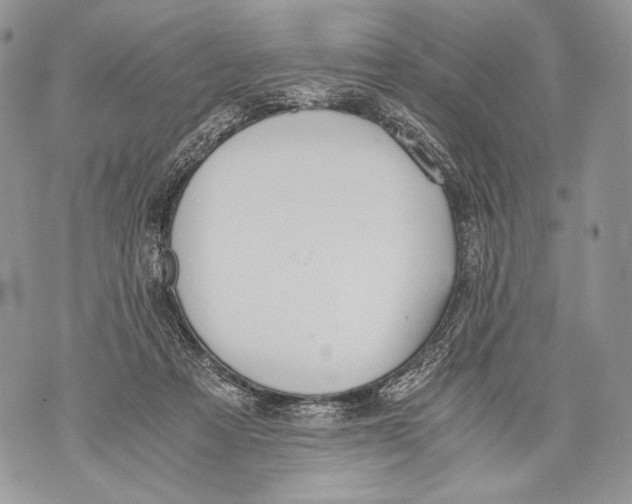 X0000071840313200607290114