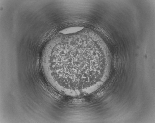 X0000071840314200607290114