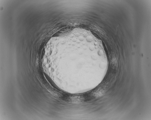 X0000071840315200607290114