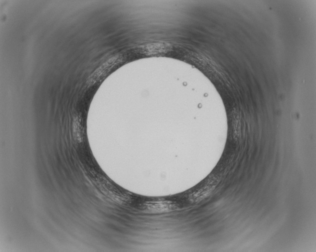 X0000071840316200607290114