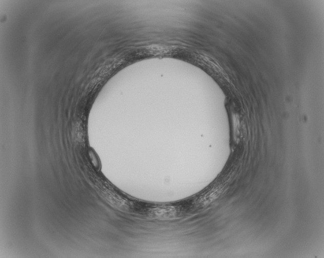 X0000071840317200607290114