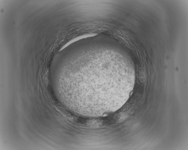 X0000071840319200607290114