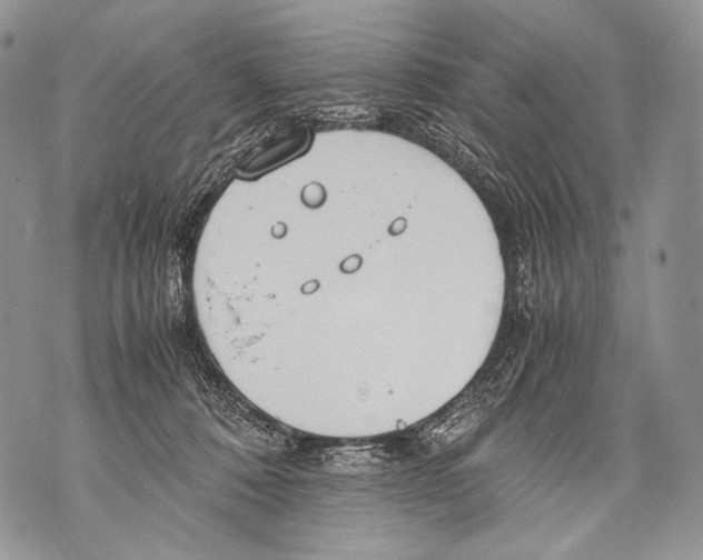 X0000071840320200607290114