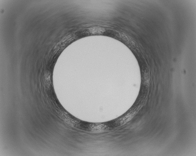 X0000071840321200607290114