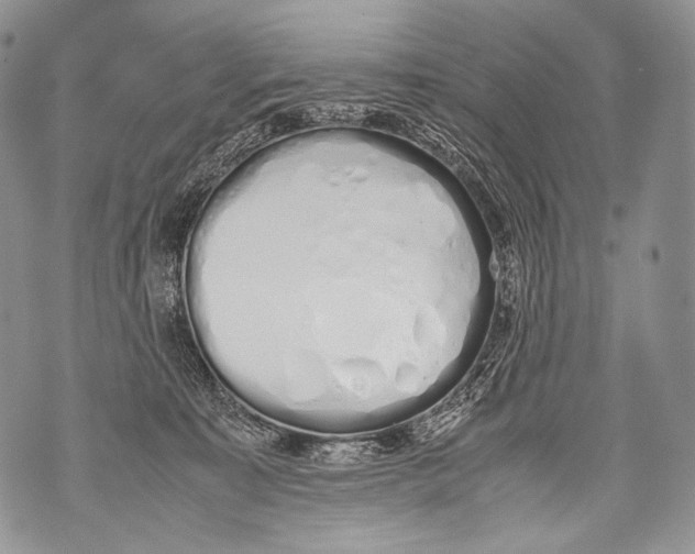 X0000071840323200607290114