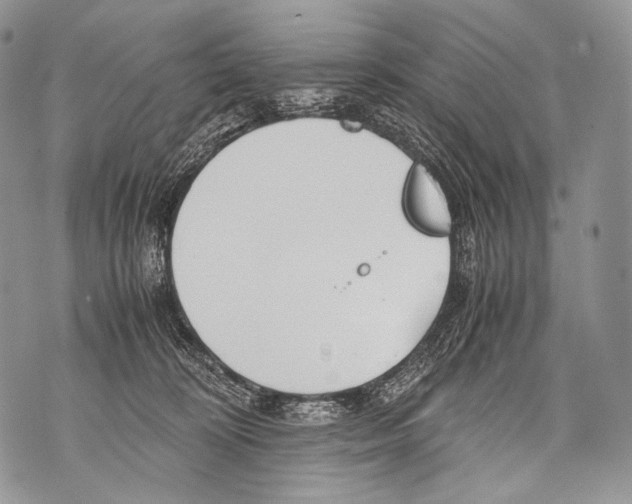 X0000071840324200607290114