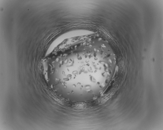 X0000071840325200607290114