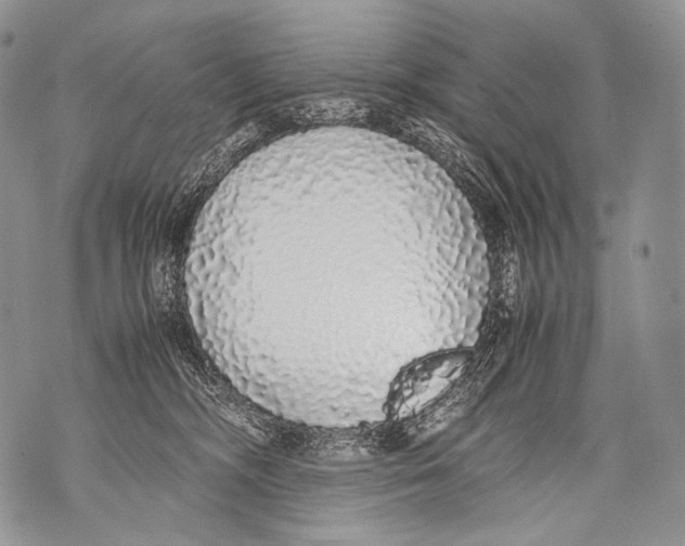 X0000071840326200607290114