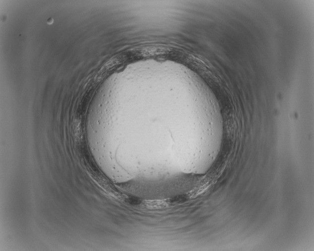 X0000071840327200607290114