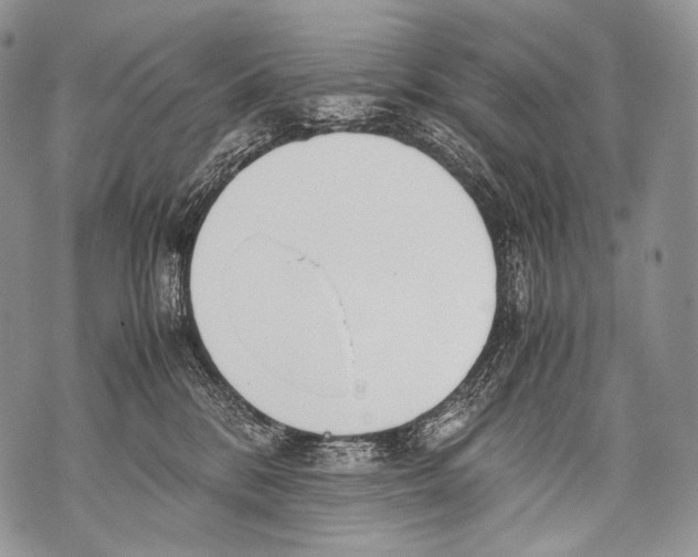 X0000071840328200607290114