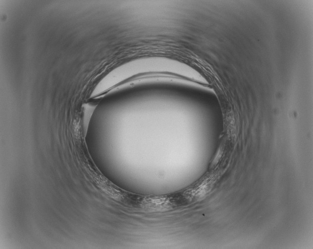 X0000071840329200607290114